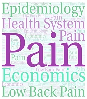 Interv Pain Med Neuromod